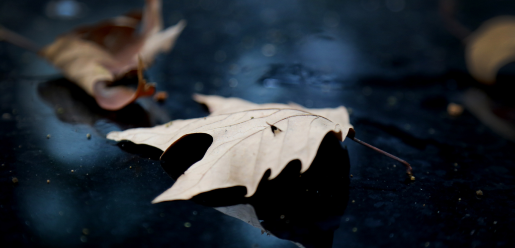 カッコイイ自然