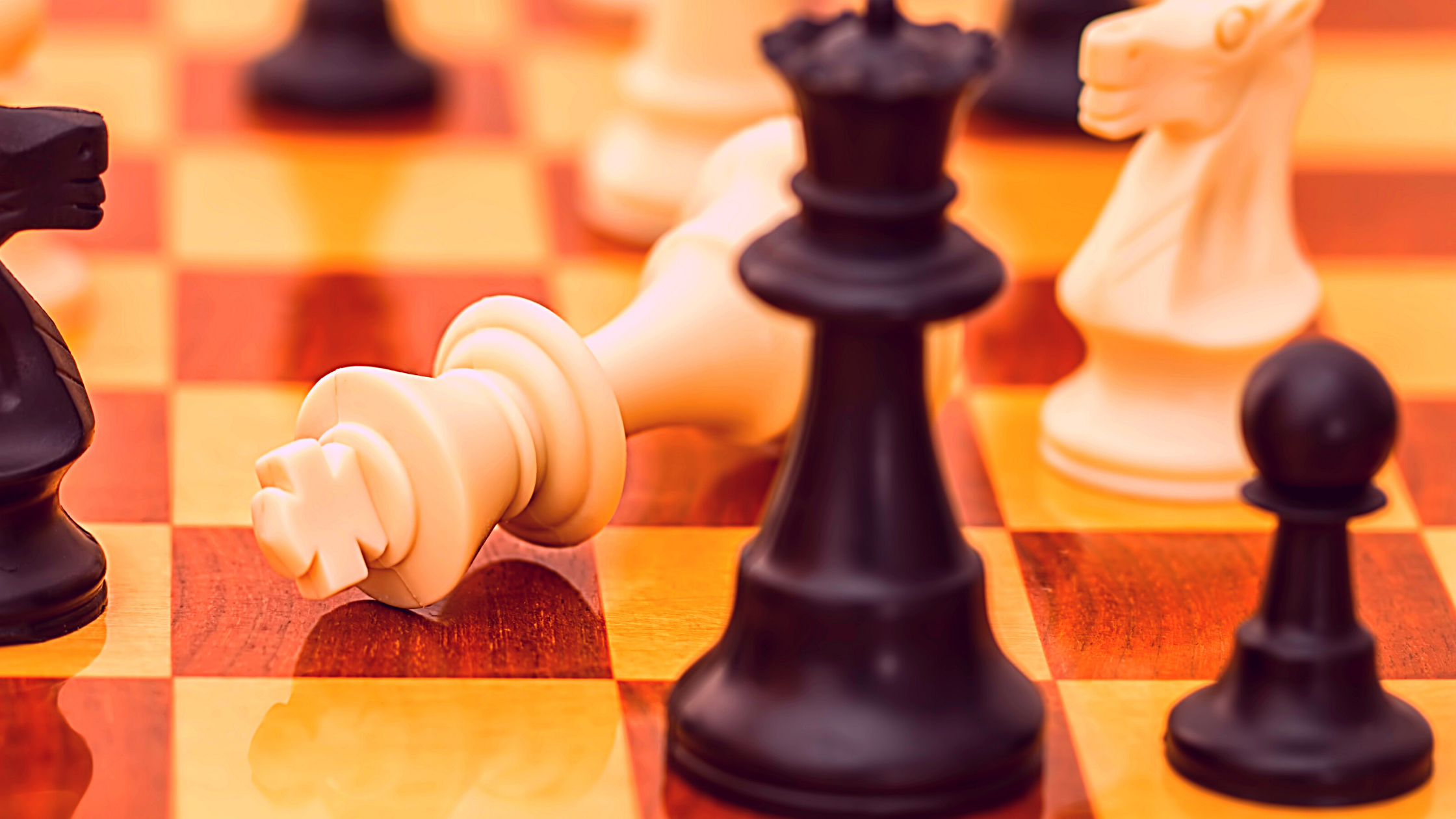 リサイクルアーティスト